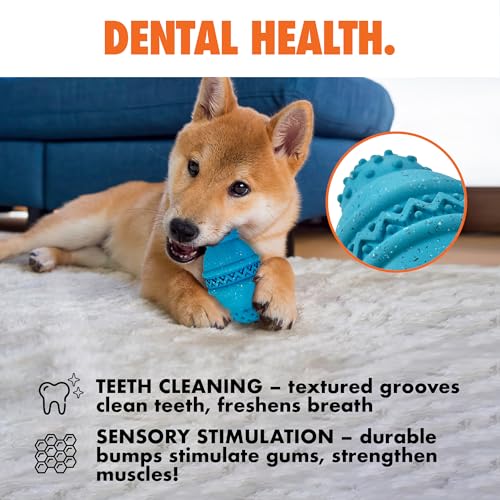 Max Fusion Made with Nike Grind, Arlee Cannon Treat Dispensing Dog Toy for All Dogs, Treat Dispenser, Durable Treat Toys, Natural Rubber Chew Toy, Large, Blue, 1 Count - color: Blue Cannon, size: Large