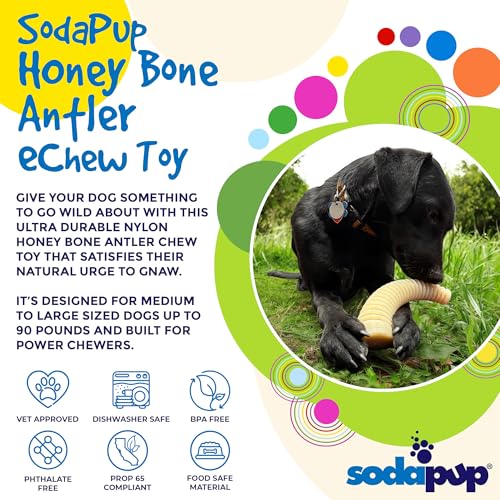 SodaPup Honey Bone Antler – Ultra Durable Dog Chew Toy Made in USA from Non-Toxic, Pet Safe, Food Safe, Nylon Material for Clean Teeth, Fresh Breath, Problem Chewing, Calming Nerves, & More - color: Honey Nylon Bone Antler Brown