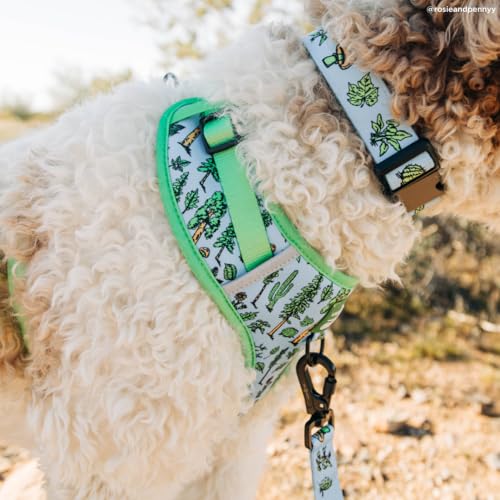 Lucy & Co. x Parks Project Feel the Earth Breath No-Pull Dog Harness, Adjustable Front Clip Harness with Comfort Padding, Small - color: Feel the Earth Breath, size: Small