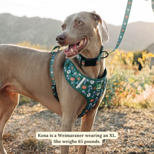 Lucy & Co. x Parks Project Power to the Parks No-Pull Dog Harness, Adjustable Front Clip Harness with Comfort Padding, Small - color: Power to the Parks, size: Small