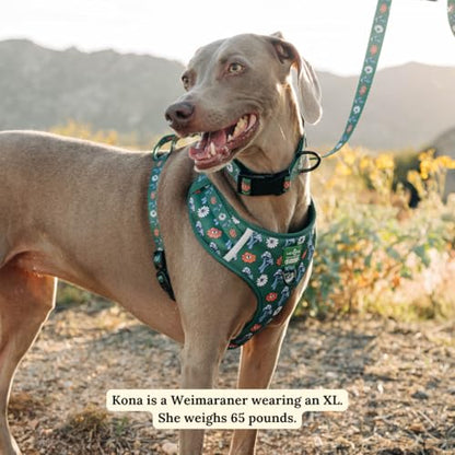 Lucy & Co. x Parks Project Power to the Parks No-Pull Dog Harness, Adjustable Front Clip Harness with Comfort Padding, Small - color: Power to the Parks, size: Small