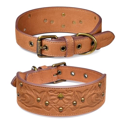 Blueberry Pet Premium Embossed Silver-Powered Freshness Microfiber Suede Leather Dog Collar in Saddle Brown - color: Saddle Brown, size: Medium