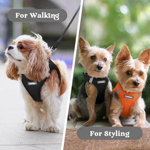 rabbitgoo Small Dog Harness, Step-in Soft Mesh Puppy Vest with Safety Buckle, Breathable Reflective Pet Harness for Small Sized Dogs, Black XS - color: Black, size: Xs(chest:13.3"-15.5")