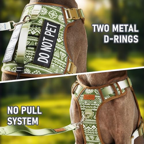 AUNZO Service Dog Vest Harness with 2 Velcro Patches, No Pull Dog Harness for Walking Training Hiking, Metal D-Rings Easy on/Off Neck Buckle Reflective Strips Soft Padded Handle, Green - color: Green Ethnic, size: Medium