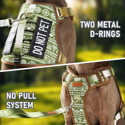 AUNZO Service Dog Vest Harness with 2 Velcro Patches, No Pull Dog Harness for Walking Training Hiking, Metal D-Rings Easy on/Off Neck Buckle Reflective Strips Soft Padded Handle, Green - color: Green Ethnic, size: Medium