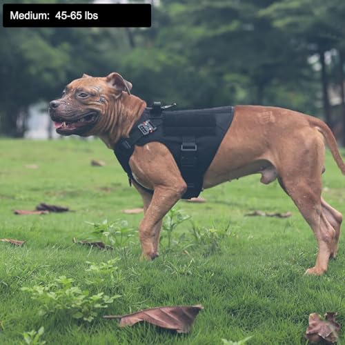 ICEFANG Tactical Dog Harness, Medium Size,2X Metal Buckle,Working Dog MOLLE Vest with Handle,No Pulling Front Leash Clip,Hook and Loop Panel (Black,M (Pack of 1)) - color: Black, size: Medium (Pack of 1)
