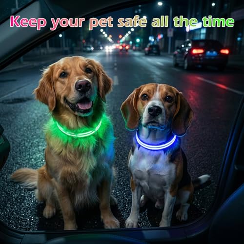 Neon LED Light Up Dog Collar for Night Walking, Rechargeable Safety Glow Illuminated Collar with 3 Modes Flashing, Reflective Adjustable Pet Light for Small/Medium Dogs Puppy 15-19" Neck (Green) - color: 1-Pack(Green)&Medium