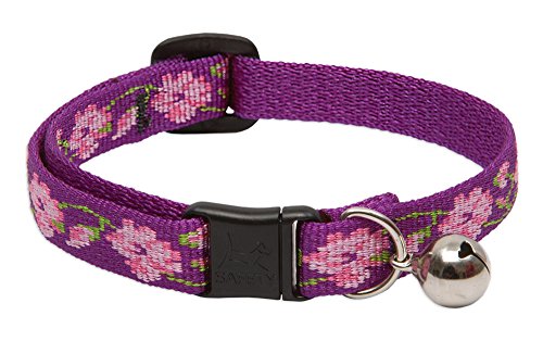 LupinePet Originals 1/2" Rose Garden Cat Safety Collar with Bell, 8-12"