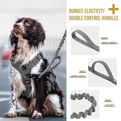 OneTigris Tactical Dog Training Leash Bungee Leash with 2 Control Handle Quick Release Nylon Leads Rope(Grey) - color: Grey