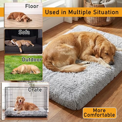 Dog Bed, pet beds (Small) - Premium Quality, Washable & Portable, Eco-Friendly, Multiple Sizes, Stylish Design, Removable Cover, Size Small(15.75 X 11.81 X 2) inch - size: Small