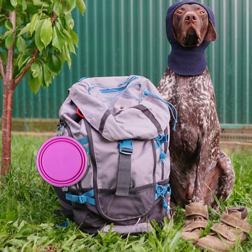 Loving Pets Bella Roma Collapsible Dog Bowls - Silicone Dog Bowls, Foldable Bowl, Puppy Essentials & Hiking Pet Supplies Great for Home & Travel (Pink, Large) - color: Pink, size: Large Travel Bowl