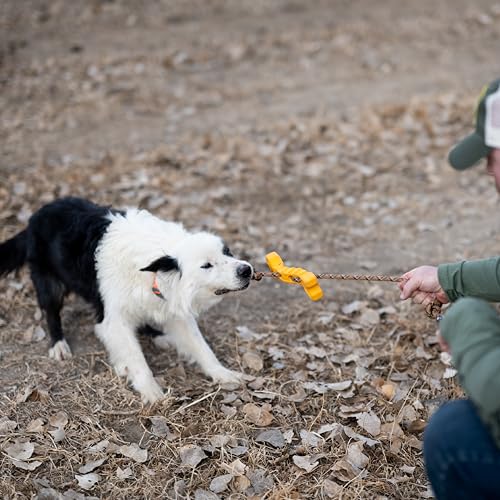 Browning Pet Training Tools, Durable Dog Toys for Tug and Fetch, Bone Tugger Toy (Browning Gold), One Size - color: Bone Tugger Toy (Browning Gold)