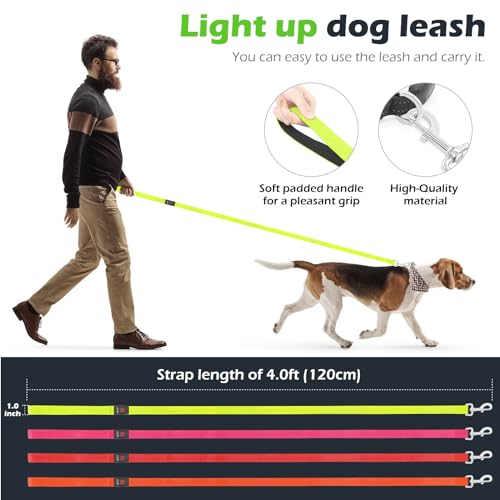 LED Dog Leash Light Up 4 Feet Micro USB Rechargeable Nylon Webbing Glow Safety Standard by Bpawser (Green) - color: Green, size: 4 Feet