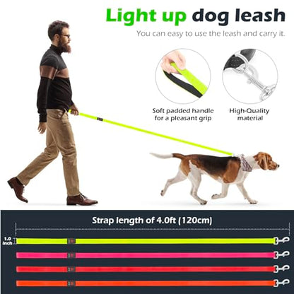 LED Dog Leash Light Up 4 Feet Micro USB Rechargeable Nylon Webbing Glow Safety Standard by Bpawser (Green) - color: Green, size: 4 Feet