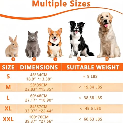 Cat & Small Dog Bed Mat, Soft Pet Kennel Pad with Cute Pattern, Multi-Size Durable & Machine Washable, Pet Pad for Cats, Puppies & Toy Breed Dogs (Gray Paw, Medium) - color: Gray Paw, size: 22.8''L×15.4''W×1.4''Th