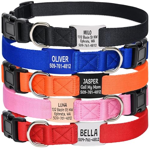 GoTags Dog Collar with Personalized Nameplate, Adjustable Dog Collar with Custom Engraved Slide On Pet ID Tag in Stainless Steel, Silent, No Noise Dog Tag Small to Large Unique Colors