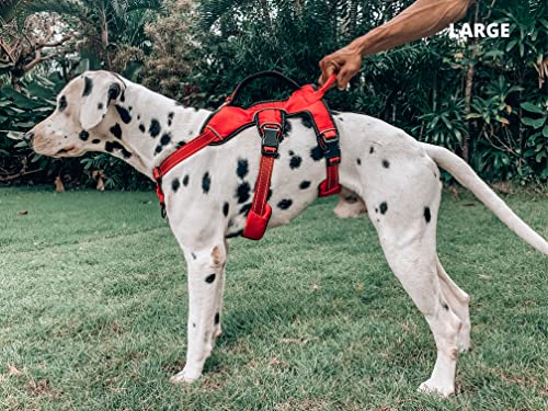 Tuff Pupper Escape Proof No Escape Dog Harness | 5 Point Adjustable Fit Harness for Dogs | Padded Dog Harnesses | Handle Dog Lift Harnesses - color: March Red, size: Large