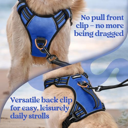 rabbitgoo Dog Harness for Large Dogs, No Pull Pet Harness with Soft Padded Handle, Adjustable Reflective Vest with 3 Buckles, Easy Walking Harness with 2 Leash Clips, Blue, L - color: Blue, size: Large