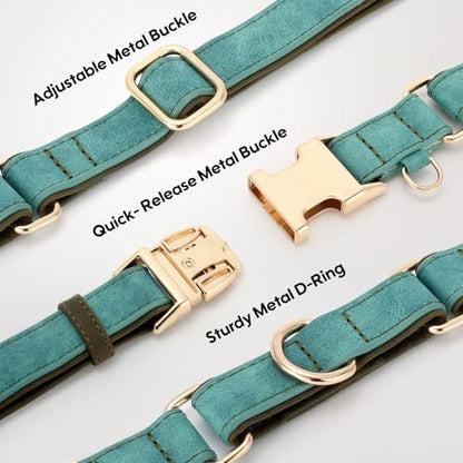 WHIPPY Vegan Leather Dog Collar No Slip Martingale Dog Collar with Quick Release Metal Buckle for Large Medium Small Dogs,Green - color: green, size: S:Fit 11-13" Neck
