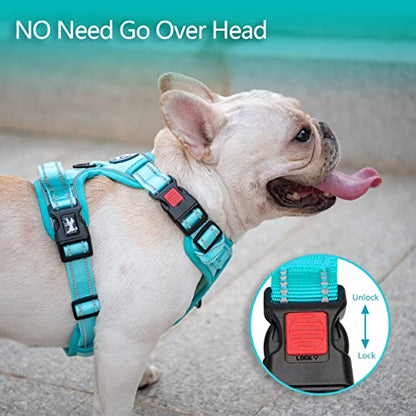 PoyPet No Pull Dog Harness, No Choke Reflective Dog Vest, Adjustable Pet Harnesses with Easy Control Padded Handle for Small Medium Large Dogs(Mint Blue Matching Trim,XS) - color: Mint Blue(Matching Trim), size: XS