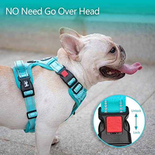 PoyPet No Pull Dog Harness, No Choke Reflective Dog Vest, Adjustable Pet Harnesses with Easy Control Padded Handle for Small Medium Large Dogs(Mint Blue Matching Trim,XS) - color: Mint Blue(Matching Trim), size: XS