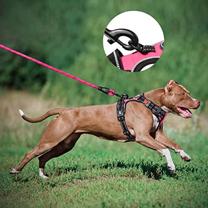 PoyPet Dog Harness and Leash Combo, Escape Proof No Pull Vest Harness, with 5 Feet Leash, Reflective Adjustable Soft Padded Pet Harness with Handle for Small to Large Dogs(Pink,S) - color: Pink, size: S