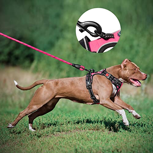 PoyPet Dog Harness and Leash Combo, Escape Proof No Pull Vest Harness, with 5 Feet Leash, Reflective Adjustable Soft Padded Pet Harness with Handle for Small to Large Dogs(Pink,M) - color: Pink, size: Medium
