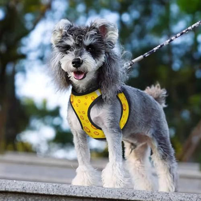 Waterproof Dog Vest Harness Set, Cheese Background, 3D Printed No Pull Reflective Straps, Adventure Gear for Hunting Training Trips - color: Design (594), size: Small