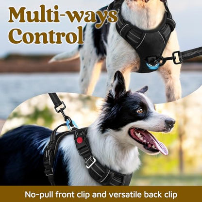 rabbitgoo Dog Harness Medium Sized, No Pull Dog Vest with 3 Buckles, Adjustable Soft Padded Pet Harness with Easy Control Handle and Reflective Strips, Black, M - color: Black, size: Medium