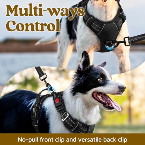 rabbitgoo Dog Harness Small Sized, No Pull Dog Vest with 3 Buckles, Adjustable Soft Padded Pet Harness with Easy Control Handle and Reflective Strips, Black, S - color: Black, size: Small