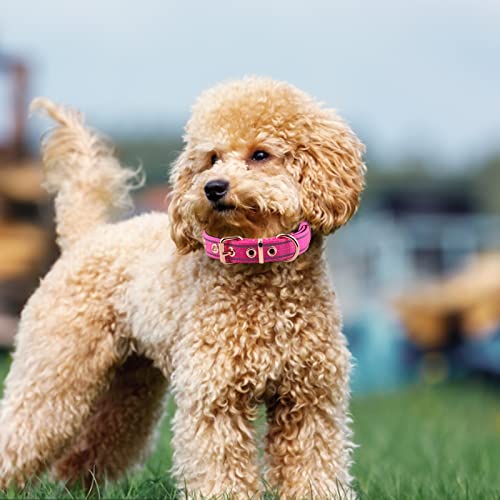 Neoprene Padded Dog Collar, Nylon Collar for Small to Large Dogs, Heavy Duty with Metal Buckle, Reflective(Medium, Pink) - color: Pink, size: Medium (Pack of 1)