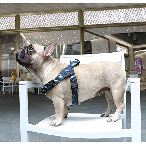 iChoue French Bulldog Harness Adjustable Padded Locked Buckle with Handle for Frenchie Pug English Boston Terrier Dogs, Shooting Stars, Small - color: A Harness Stars, size: Small ( 5 - 25 lbs )