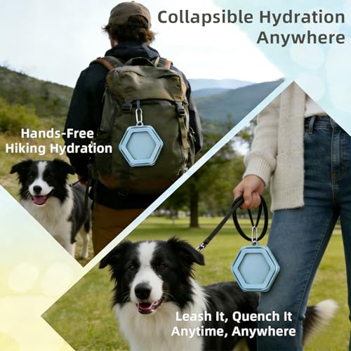 1-Pack Collapsible Pet Water Bowl, Spill Proof No Splash Dog Travel Bowl with Carabiner, Silicone Bowl for Hiking Camping Walking Road Trips, BPA Free Dishwasher Safe, 24oz Morandi Blue - color: Single Pack