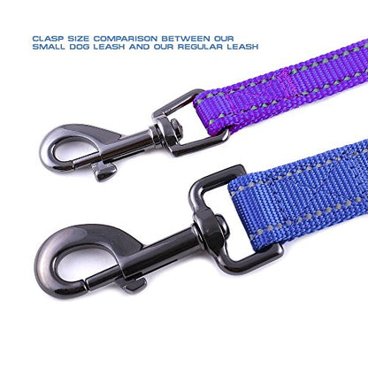 Max and Neo Small Dog Leash - Reflective Nylon, Donates to Dog Rescue (Purple, 4x5/8) - color: PURPLE, size: 4 FT x 5/8" Wide