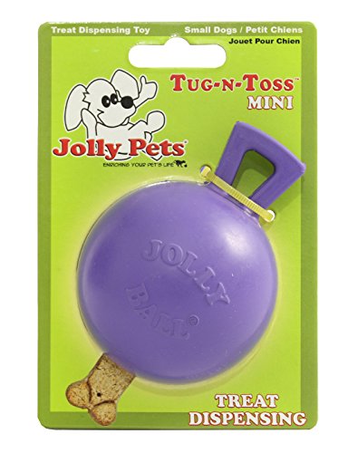 Jolly Pets Tug-n-Toss Heavy Duty Dog Toy Ball with Handle, 3 Inches/Mini, Purple (403 PR) - color: Purple, size: 3 in/Mini