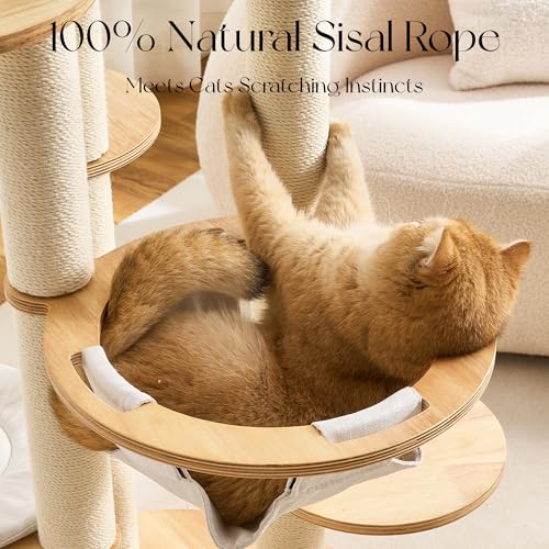 797Audio Modern Solid Wood Cat Tree Tower, 54" Tall Cat Tree with Scratching Posts, Capsule&Hammock, Luxury Natural Oak Wood Cat Tower, Aesthetic Multi-Level Cat Climbing Tree for Large Indoor Cats - color: 54 Inch-Scratch Ball