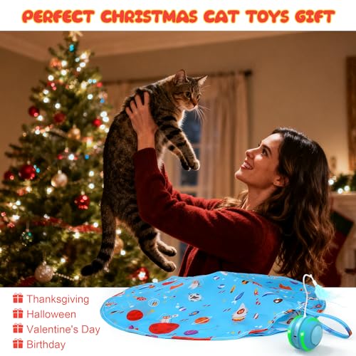 Interactive Indoor Cat Toys for Bored Adult Cats - Highly Entertaining Keep Cats Engaged for Hours, Rechargeable Silent Kitten Mouse Toy Automatic Hide and Seek with Stimulating Moving (Blue)