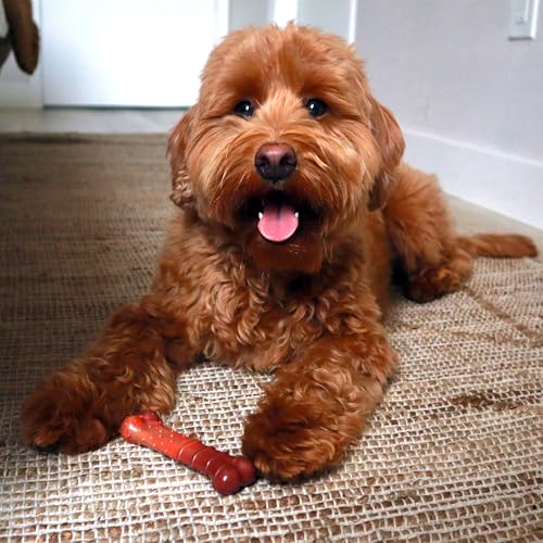 Nylabone Textured Bone Power Chew Toy for Dogs, Durable & Tough Dog Toys for Aggressive Chewers, Beef Jerky Flavor, X-Small Dogs - Up to 15 lbs, 1 Count - size: X-Small