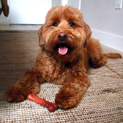 Nylabone Textured Bone Power Chew Toy for Dogs, Durable & Tough Dog Toys for Aggressive Chewers, Beef Jerky Flavor, X-Small Dogs - Up to 15 lbs, 1 Count - size: X-Small