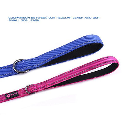 Max and Neo Small Dog Leash - Reflective Nylon, Donates to Dog Rescue (Pink, 4x5/8) - color: PINK, size: 4 FT x 5/8" Wide
