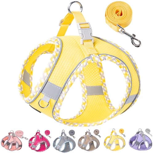 Petank Dog Harness for Small Medium Dogs No Pull, Puppy Harness and Leash Set for Walking, Running, Training, Small Dog Harness, Medium Dog Harness (Yellow, XXS) - color: Yellow, size: XXS