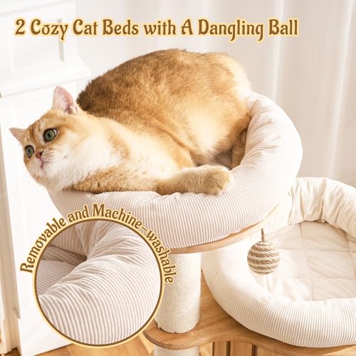 Modern Cat Tree Tower with Scratching Post, 61.5in Tall Cat Tree for Indoor Cats, Multi-Level Solid Wood Cat Furniture with Ladder, Cozy Cat Beds, Cat Condo, Capsule Nest, Dangling Toy, Natural - color: 61.5"Natural