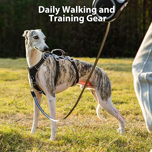 Huntboo Escape Proof Dog Harness, No Pull Reflective Harness with Lift Handle, Adjustable Pet Vest with Front and Back Leash Clips for Small Medium Large Dogs Walking Hiking Training (Black,L) - color: Black, size: Large(Pack of 1)
