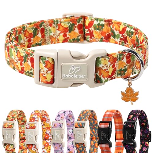 Fall Dog Collar Cute Autumn Leaves Puppy Collar - Light Comfortable Adjustable Pet Collars for Small Medium Large Girl Boy Dogs XS - color: Autumn Leaves, size: XS