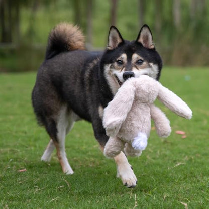 Best Pet Supplies Interactive Squeaky Dog Chew Toy, Ideal Dog Toys for Chewers, Small, Medium & Large Dogs, and Fetch Lovers - Bunny (Beige), Small - color: Bunny (Beige), size: Small