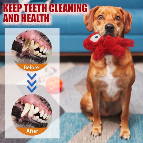Squeaky Dog Toy, Plush Stuffed Dog Toy Keep Them Busy Tug of War Dog Chew Toy for Small Medium Large Dogs (Red) - color: Red