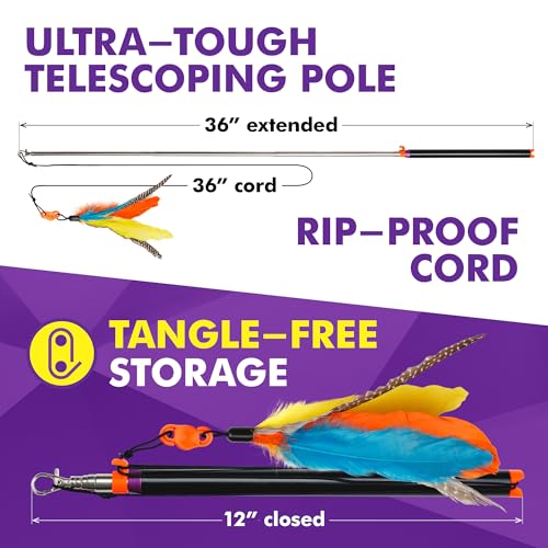 Cat Amazing Snatch - Magnetic Cat Wand Toy! Telescoping, Durable Feather Toy for Cats - Fishing Pole & Teaser Wand String Stick - Cats Can Really Catch! - style: Snatch Wand