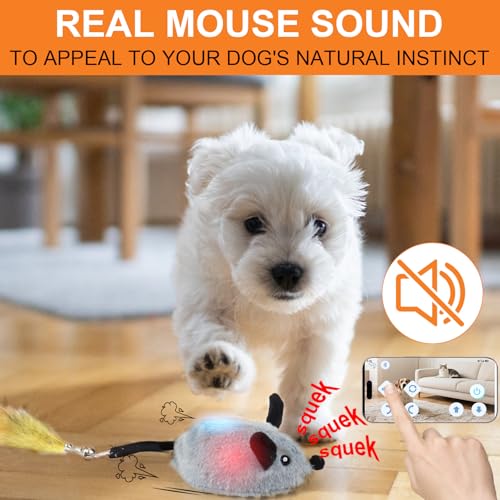 BABORUI Interactive Dog Toys Mouse, Automatic&APP Control Escaping Mice Squeaky Dog Toy with Lights & Auto-Turn, Rechargeable Moving Dog Toys for Small/Medium/Large Dogs & Cats(Grey) - color: APP Control