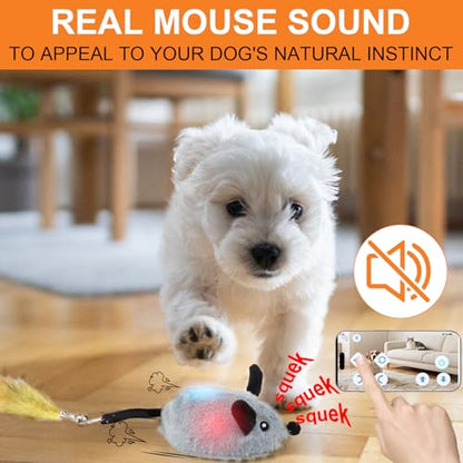 BABORUI Interactive Dog Toys Mouse, Automatic&APP Control Escaping Mice Squeaky Dog Toy with Lights & Auto-Turn, Rechargeable Moving Dog Toys for Small/Medium/Large Dogs & Cats(Grey) - color: APP Control