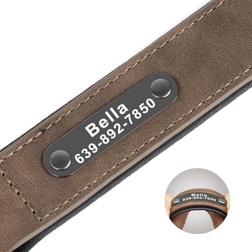 Didog Custom PU Leather Dog Collars with Personalized Engraving Nameplate,Personalized Padded Dog Collars Engraved for Small Medium Dogs,Brown,M Size - color: Brown, size: M: Fit 11-14"Neck